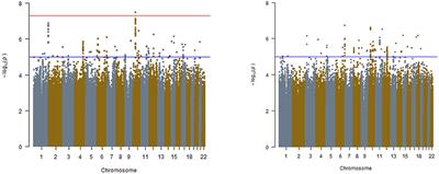 SMOC2 gene interacts with APOL1 in the development of end-stage kidney disease: A genome-wide association study